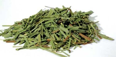 Lemongrass Leaf
