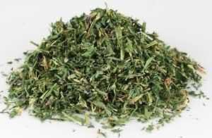 Alfalfa Leaf