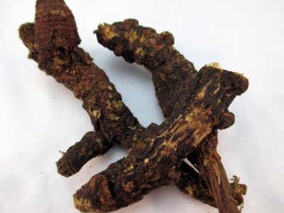 Osha Root Whole