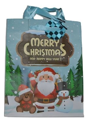 Medium Christmas Gift Bag