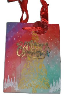 Small Christmas Gift Bag