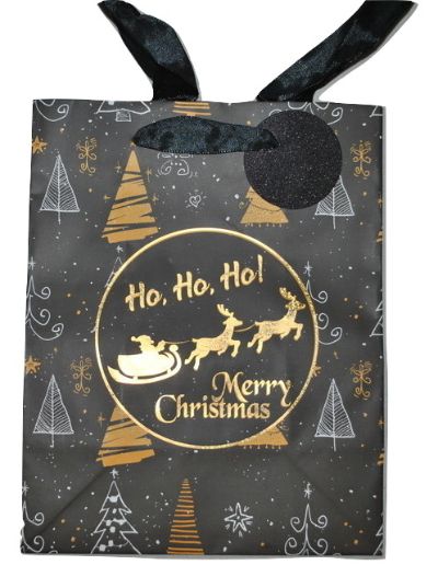 Small Christmas Gift Bag
