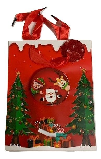 Small Christmas Gift Bag