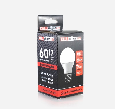 A19 LED Bulb