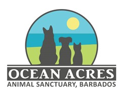 Ocean Acres Animal Sanctuary