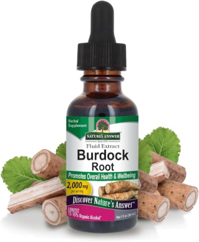 Burdock Root Extract