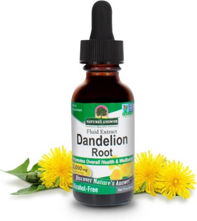 Dandelion Root Extract