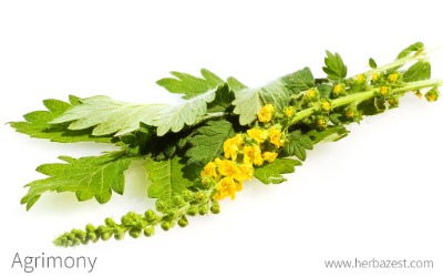 Alternate Product Image