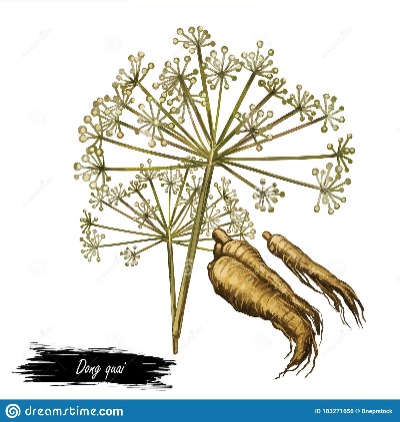 Alternate Product Image