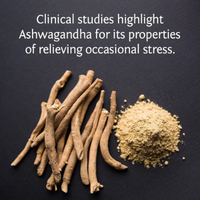 Alternate Product Image