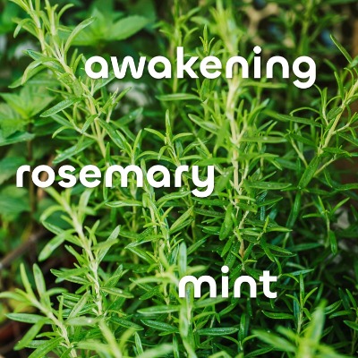 Alternate Product Image