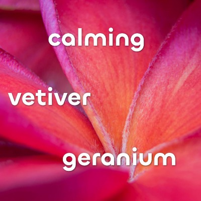 Alternate Product Image