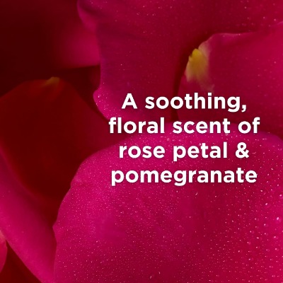 Alternate Product Image