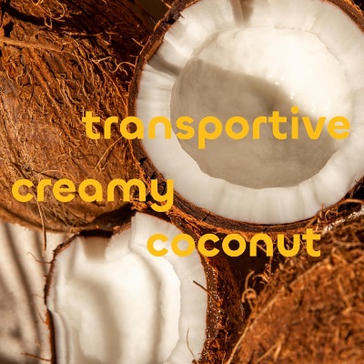 Alternate Product Image